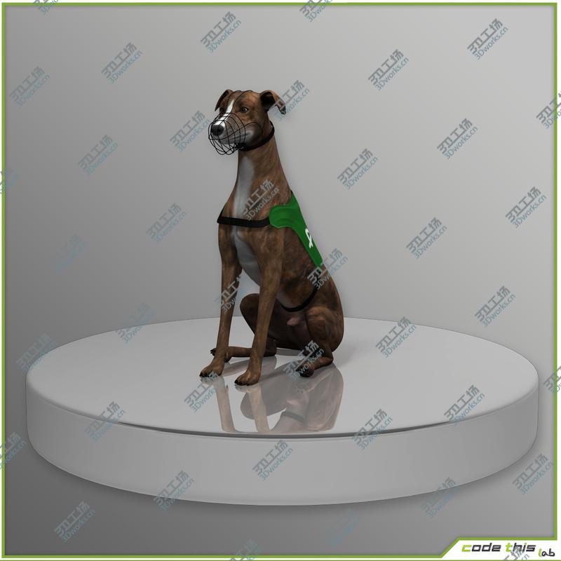 images/goods_img/202105071/Greyhound Dog CG/2.jpg